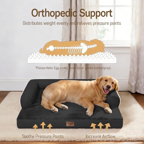 Image of Comfort Expression Washable Orthopedic Dog Bed for Large Sized Dogs | Waterproof Memory Foam Pet Bed 36x27 Inch with Removable Cover with Non-Slip & Bolster, Black