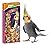 Parrot 3x PEANUTS + EXOTIC + APPLES Flavors 3in1 Sticks Parrots Large Parakeets Canaries 175g Wild Bird Food Budgie Canary Finches Snack with Hooks Pack of Three