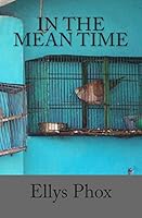 In the Mean Time 1490398023 Book Cover