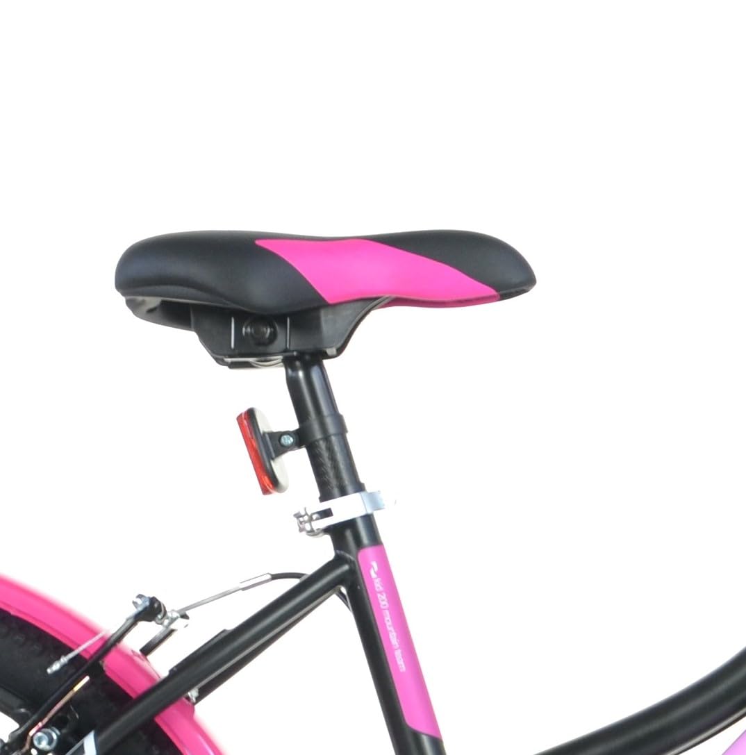 Dino Bikes Bicicletta Bambina 20 pollici nero e rosa