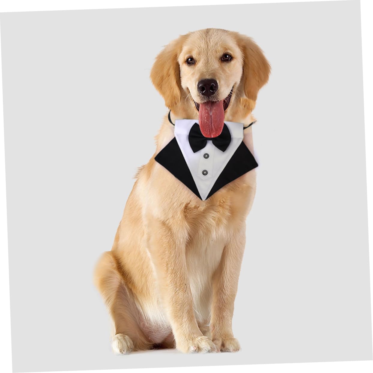Toyvian 3ensembles Bandana Triangulaire pour Chien Accessoire Stylé pour Animaux De Compagnie pour Sorties Photos