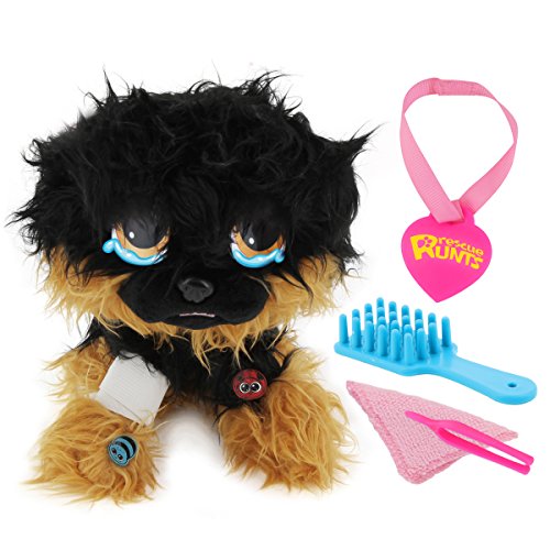 rescue runts husky amazon