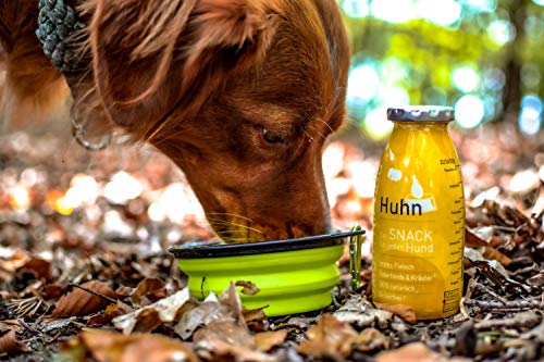Lickimat Buddy L 30,5x25,5cm mit SmoothieDog Hundesmoothie 6er Probierset - 100% getreidefrei, für alle Hunde, 6 Sorten - Lamm, Rind, Huhn, Trinkpause, Immunio und Gemüsebeet, je 1x 250 ml