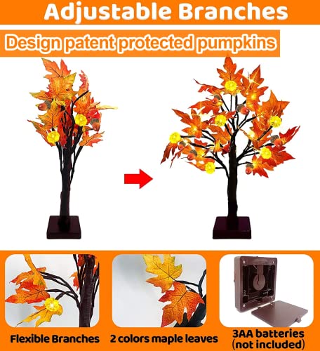 [ Timer ] 2 Pack 22 Inch Prelit Lighted Maple Tree Fall Decor Fall Tree 48 Leds Battery Operated 12 Exclusive Patent Pumpkins 12 Acorns Orange Red Maple Tree Thanksgiving Halloween Decor Indoor Home #TOP2