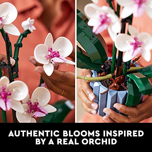 LEGO 10311 Orchidee, Pflanzendekor-Bauset für Erwachsene, baue ein Orchideen-Schaustück für zu Hause oder im Büro, 608… – Bild 4