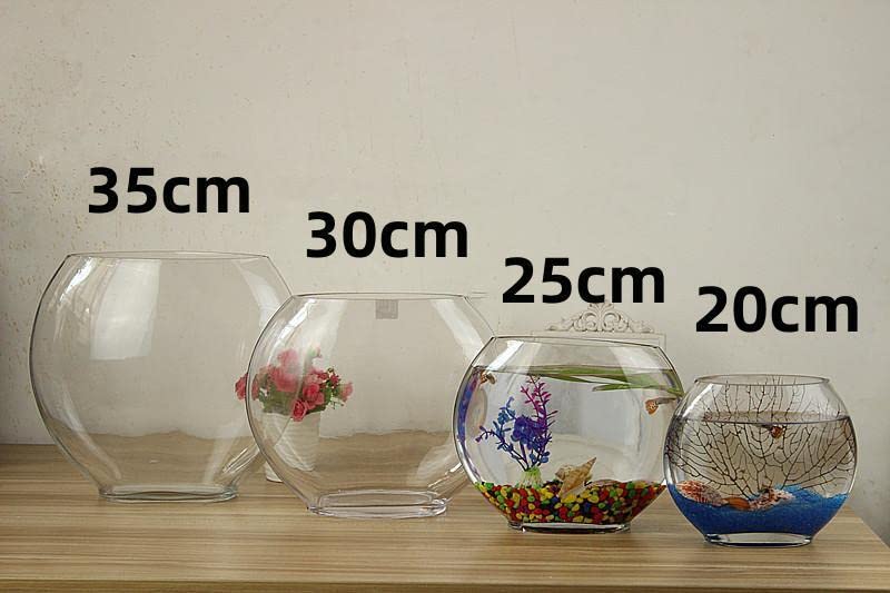 Amazon | 金魚鉢 扁形 平面ガラス アクアリウム アイデア平べったい口