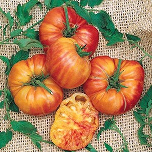 Amazon.com: Big Rainbow Tomato - ENORME!!!! Tomates!! GRANDE