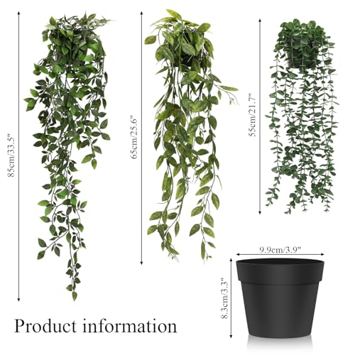 Macetas, Kitchen Imagen adicional