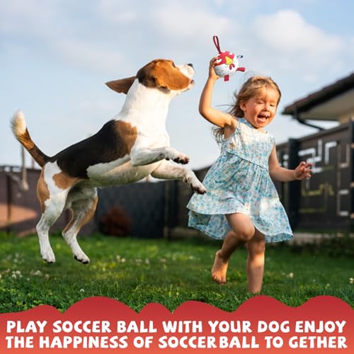 Image of QDAN Small Puppy Dog Soccer Ball with Straps, Durable Herding Toys, 5 Inch | Puppy Birthday Gifts For Dogs, Interactive Water Pool Toys, Pet Training Puppy Toys for 5-20lbs Dog Mentally Stimulating