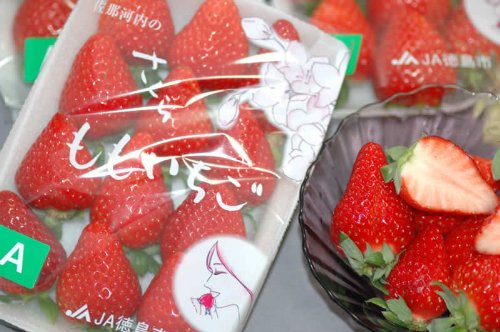 徳島県産 さくらももいちご 2パック化粧箱入 贈答向け 徳島県産 さくらももいちご 2パック化粧箱入 贈答向け