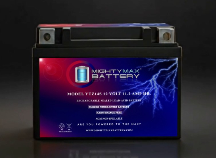 Amazon.com: Mighty Max Battery 12V 11.2Ah Battery for Honda 1300