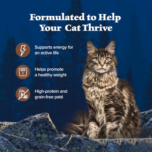 Blue Buffalo Wilderness Turkey Paté Adult Wet Cat Food, 5.5 oz, 24 ct | Real Turkey #1 Ingredients, High Protein & Grain-Free Recipes, Supports Energy for an Active Life - image 5