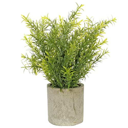 Fantasias Miguel Arbolito de la Abundancia Artificial Verde y Base Fina para Decoracion Decoracion Hogar y Oficina Mini Plantas Artificiales con Maceta tamaño de 25cm Mylin 1...