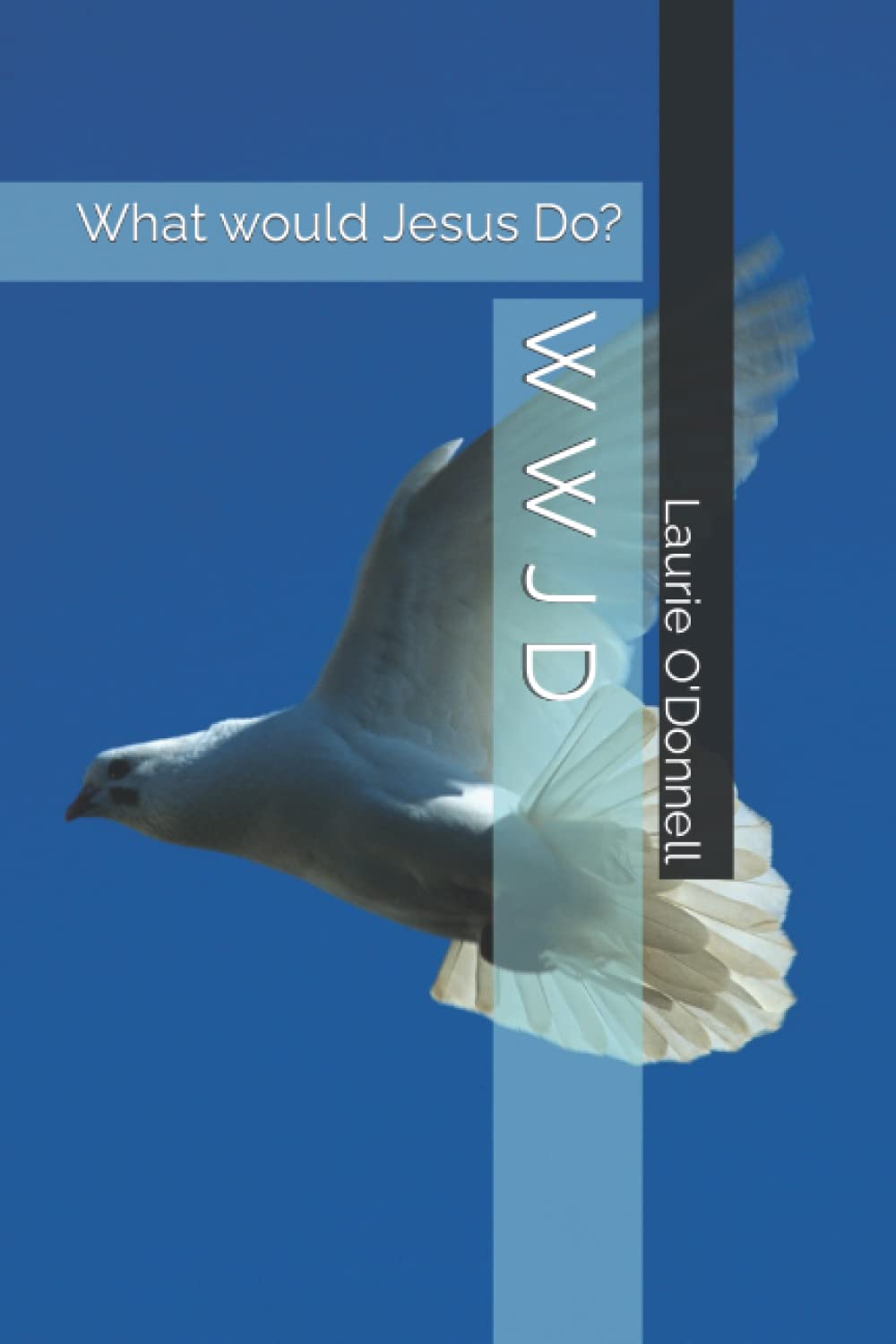 W W J D: What would Jesus Do?