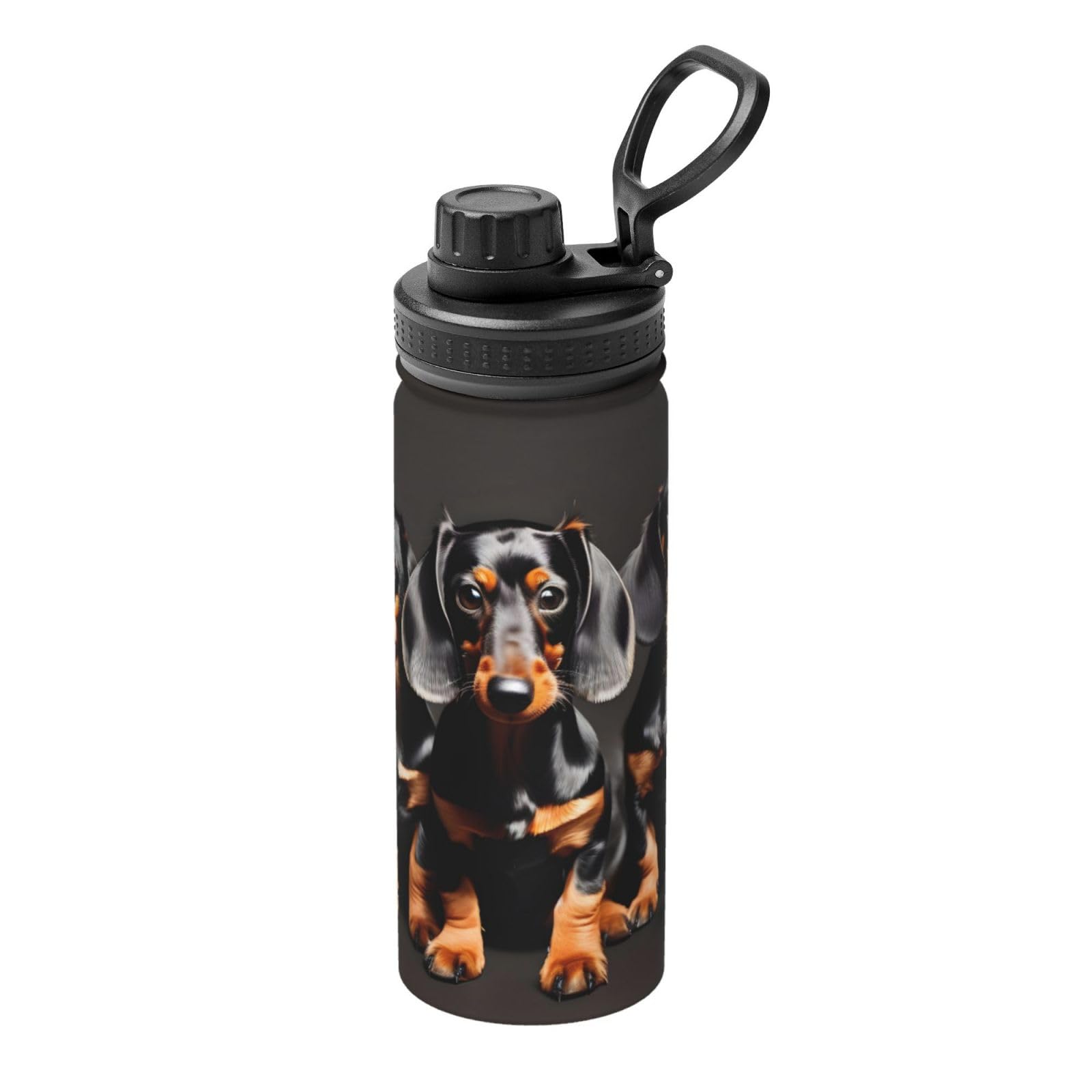 Yqxwjl Three Dachshunds - Botella de agua deportiva de acero inoxidable de 18 onzas para hombres y mujeres
