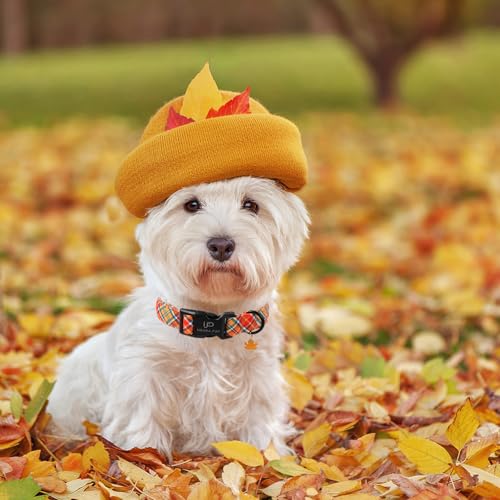 Image of Autumn Plaid Dog Collar - Adjustable Orange Tartan Dog Collar with Fall Leaf Charm, Cozy Fall Vibes Orange Yellow Grid Puppy Collars for Small /Medium /Large Dogs