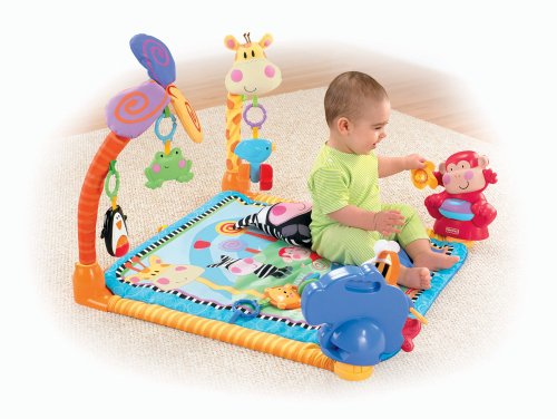 Fisher-Price Discover 'n Grow Open Play Musican Gym