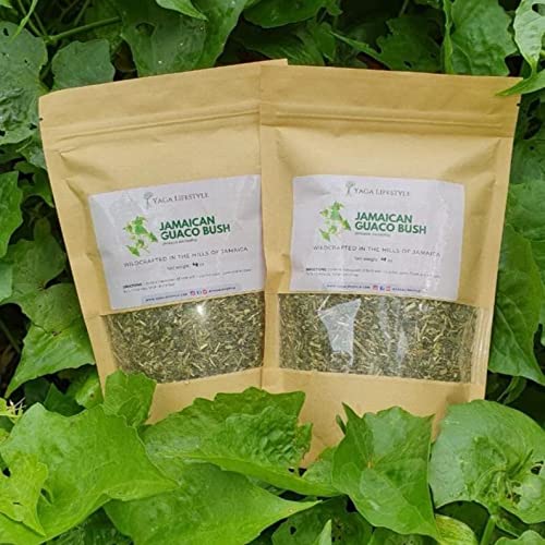 Miniatura 2 de Jamaican Guaco Mikania (Wildcrafted, Air-Dried, Dr Sebi Approved Herb)