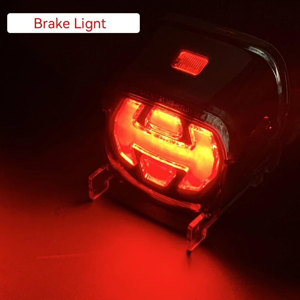 Para luz trasera de motocicleta FLSTF