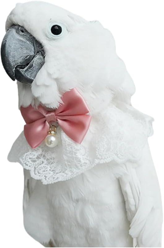 Coleira para Aves de Algodão com Gravata-Borboleta, Rosa CXYYXF para Papagaios Médios e Grandes