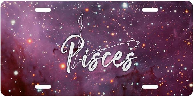 Gorgeous Zodiac Horoscope Sign Novelty License Plate (Pisces, Standard)