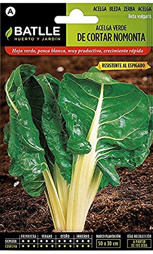 Acelga Verde cortar S. NOMONTA