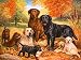 5D Diamond Painting Kits Full Drill Diamond Embroidery by Sun Cling,12x16 Inches