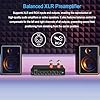 7-Band EQ Preamp Equalizer HiFi Vacuum Tube Amplifier for Cars and Home Speakers, Balanced RCA/XLR Inputs and Outputs for Enhanced Audio Quality #1