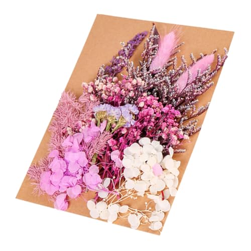 Kit de flores secas para manualidades decorativas