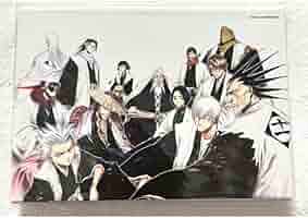 Amazon.co.jp: BLEACH 原画展 護廷十三隊 フルカラー アート