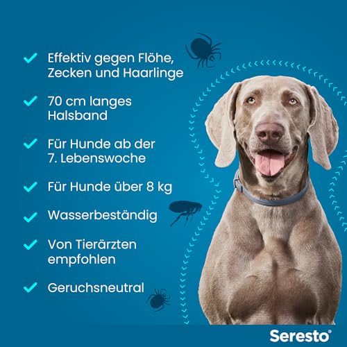 Seresto® Halsband Sparset für große Hunde ab 8 kg: 7 bis 8 Monate wirksamer Schutz gegen Zecken und Flöhe, Länge 70 cm, 2 Halsbänder