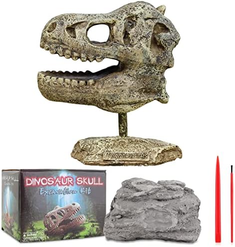 Dinosaur Skull Dig Kit,Dinosaur Excavation Kit for Kids,Model Dinosaur Toy,Fun Science Activity Toy, Educational Dinosaur Gift for Boys and Girls
