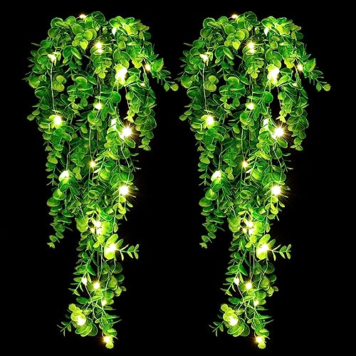 Top 10 Hanging Plants For Porch of 2022 Katynel