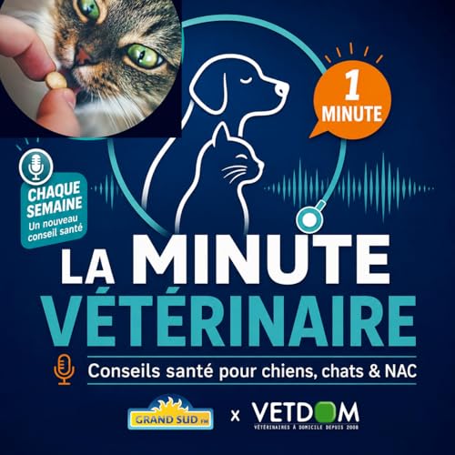 Comment donner un comprim&eacute; &agrave; mon chat ?