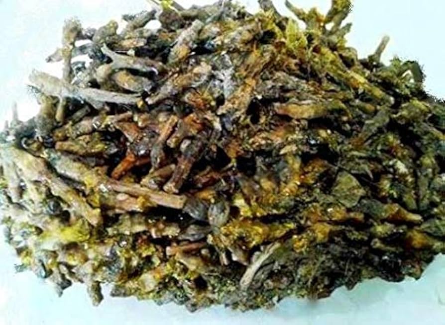 Kseniya Sobchak porno (yangi mavzu) Balzakning yalangoch ayollari