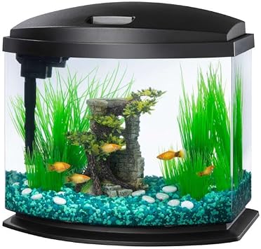 Aqueon 00800201 Aquarium Kit Mini Bow Led Blk 5G