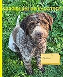 sorridi hai un lagotto: lagotto romagnolo composition book...