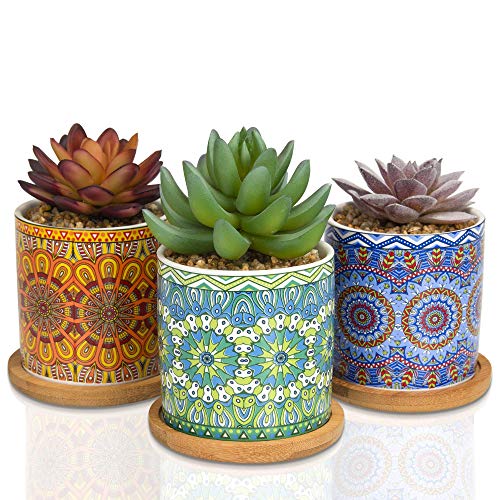 CASALUXE Artificial Succulents, Set of 3– Two-Toned Real Touch Plastic Fake Plants in Beautiful Mandala Pattern Ceramic Pots– Stylish Modern Farmhouse Decor– Small, Faux and Ultra Cute: 5x3 inches CASALUXE Artificial Succulents, Set of 3– Two-Toned Real Touch Plastic Fake Plants in Beautiful Mandala Pattern Ceramic Pots– Stylish Modern Farmhouse Decor– Small, Faux and Ultra Cute: 5x3 inches