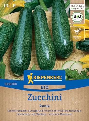 Kiepenkerl Zucchinisamen Dunja 1038760 für 8 Pflanzen – Bio Zucchini Saatgut für Freiland & Hochbeet, mild-aromatisch, resistent gegen Mehltau, pflegeleicht & robust