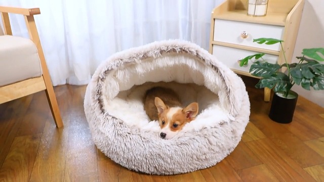 Amazon | DICOCO 猫 犬 ベッド 冬 温かい - 半閉鎖型 貝殻型 もふもふ