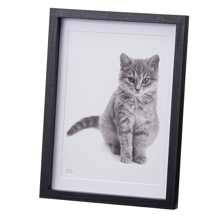 額縁　内寸31.5ｘ45.5センチ 額縁用カラーマット 300角（300×300mm） 【中抜きサイズは250