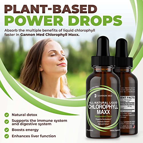 Gannon Med Chlorophyll Maxx - Liquid Chlorophyll - 2Oz - Chlorophyll Liquid Drops - Chlorophyll - Internal Deodorant - All Natural Liquid Chlorophyll - Energy Boost - Helps W/Digestion - Mint 3 Pack #TOP6