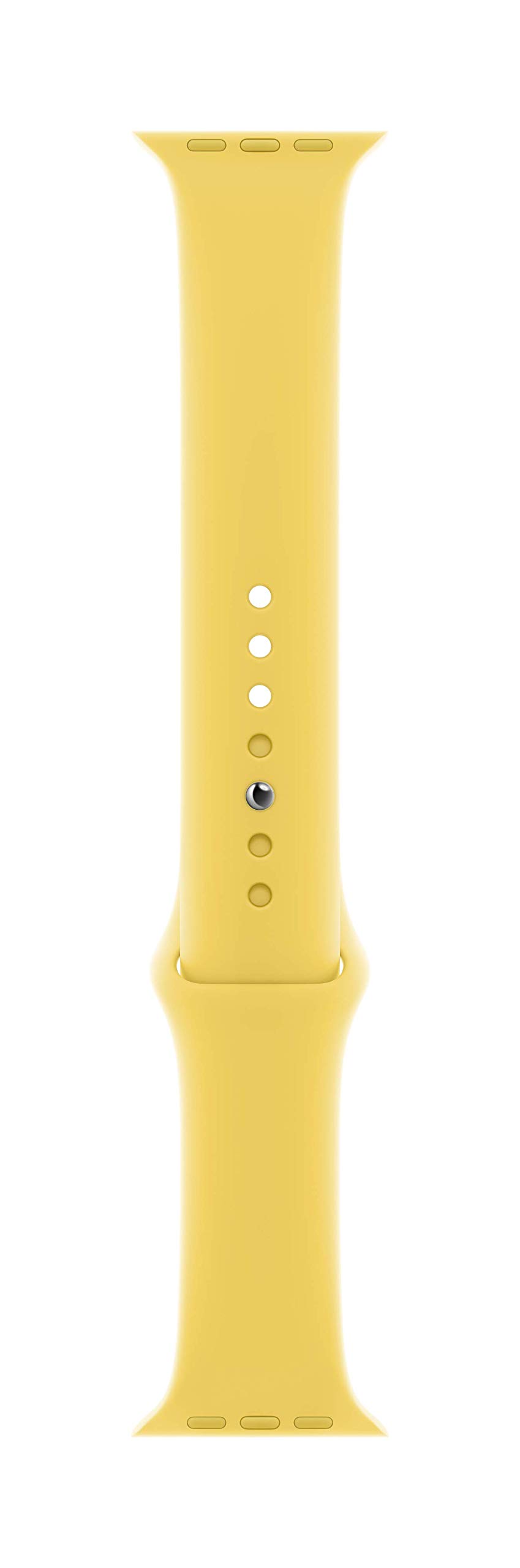 Applewatch Band Sport Band 44mm Ginger Regular Desertcart Seychelles