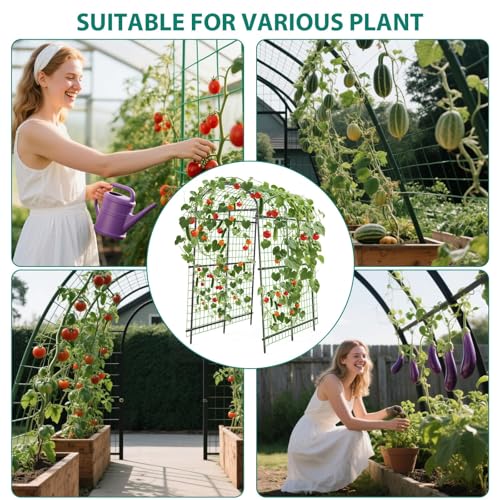7.5FT Metal Garden Arch Trellis Arbor with Netting, Adjustable Width Pergola for Climbing Plants, Flowers, and Vegetables, Weather-Resistant, Easy Assembly for Outdoor Weddings & Events by MilleLoom - Used condition - Image 2