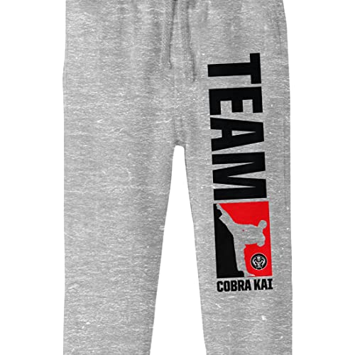 Cobra Kai Team Cobra Kai Boy's Athletic Heather Jogger Pants2