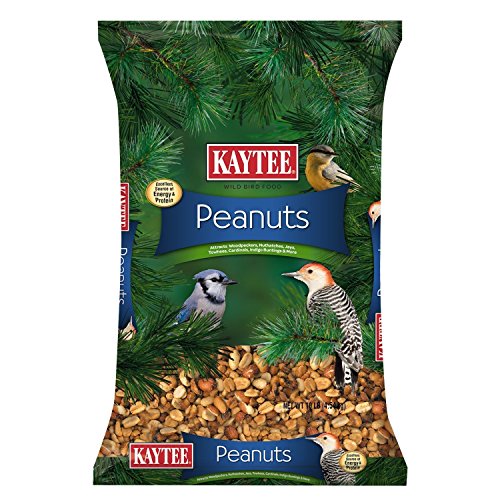Kaytee Peanuts For Wild Birds, 10-Pound
