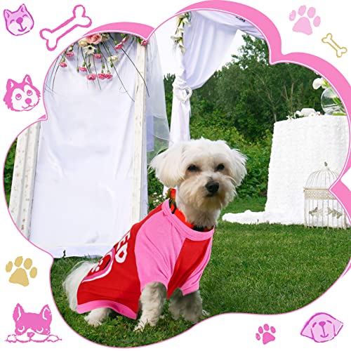 5 Pieces Dog Shirt For Small Dog Girl Female Dog Shirt Printed Pet Shirts With Funny Letters Puppy Clothes For Chihuahua Yorkies Bulldog T Shirt Pink Breathable Dog Puppy Clothes Vest Apparel(Medium) #TOP6