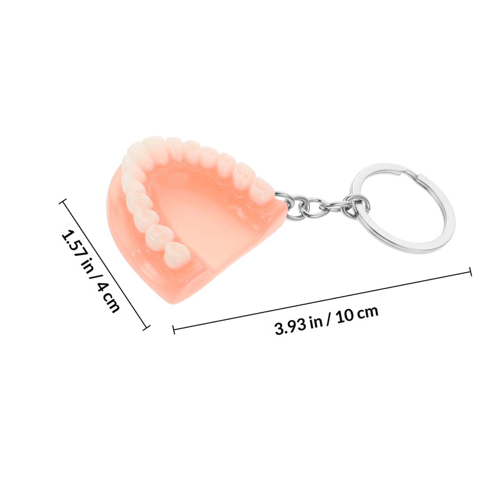 Amazon | MUCKLILY 1個 義歯キーホルダー キーペンダントチャーム