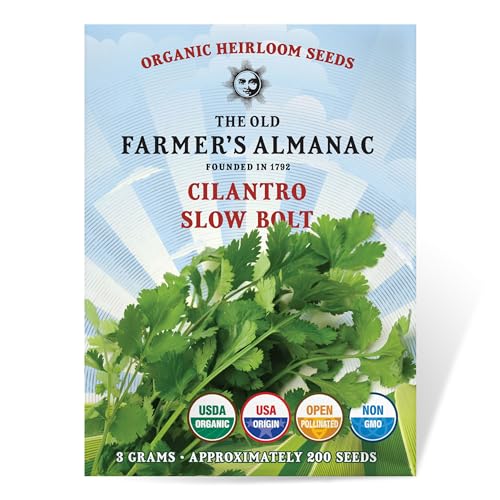 The Old Farmers Almanac Heirloom Organic Cilantro Seeds (Slow Bolt) - Approx 200 Seeds - Certified Organic Non-GMO Open Pollinated Heirloom USA Origin