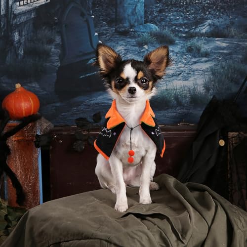 Capa para perro Halloween tamaño M Naranja miniatura 4